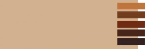 Сочетание бежевого коричневого и. С какими цветами сочетается бежевый?