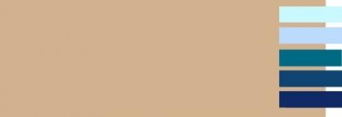 Сочетание бежевого коричневого и. С какими цветами сочетается бежевый?