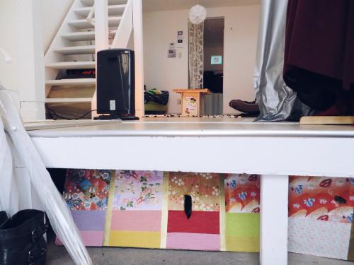 Высота потолков в Японии. Внутри японской квартиры