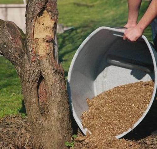 Туалет на даче без канализации. Два быстрых и недорогих способа заиметь много хлопот