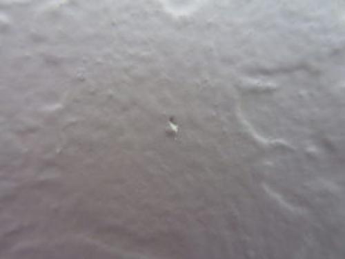 Как расположить картины на стене. Как правильно развесить картины на стене 28