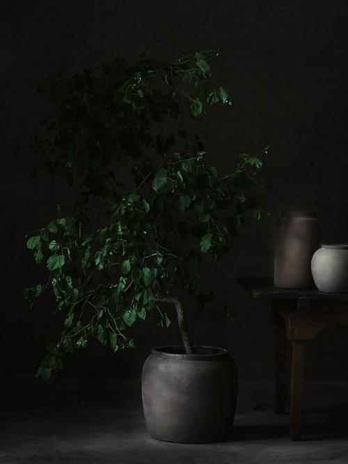 Скандинавский домик у озера — коллекция Lake от Tine K Home 11