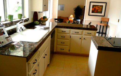 Вход в дом в кухню. Посоветуйте, как организовать вход в дом 04