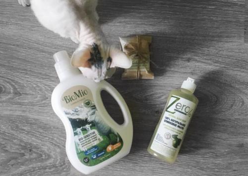 Эко моющие средства. Эко-средства для уборки: плюсы и минусы