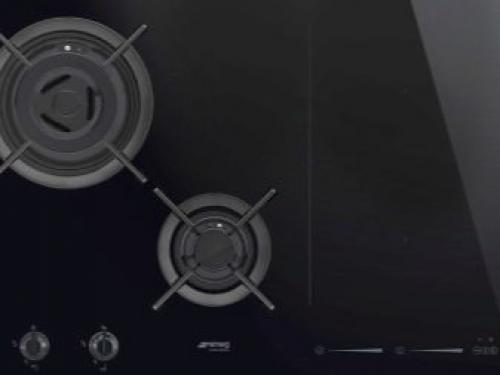 Что лучше электрическая варочная поверхность или индукционная. Какую выбрать варочную панель: индукционную или электрическую 10