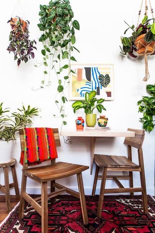 Стильные растения для дома. Вертикальное озеленение — новомодные тенденции дизайна