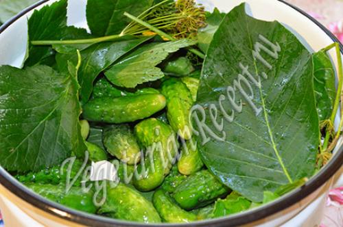 Можно Ли хранить маринованные огурцы При Комнатной Температуре.