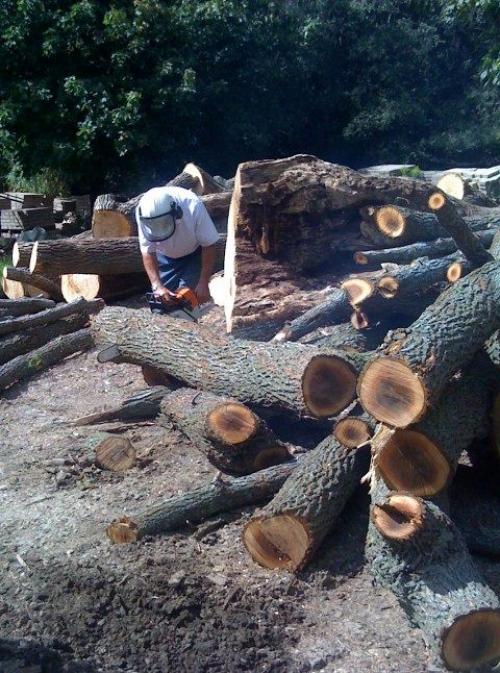 Стол из пня своими руками. Как сделать стол из пня, бревна своими руками 05