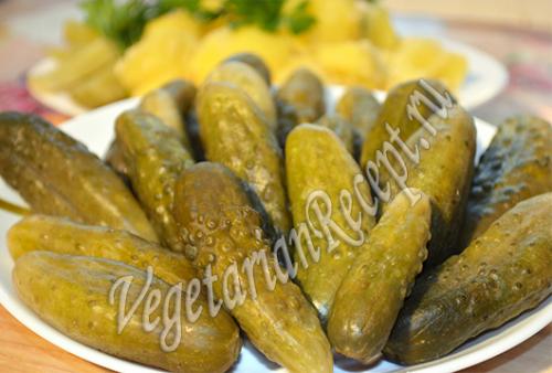 Можно Ли хранить маринованные огурцы При Комнатной Температуре.