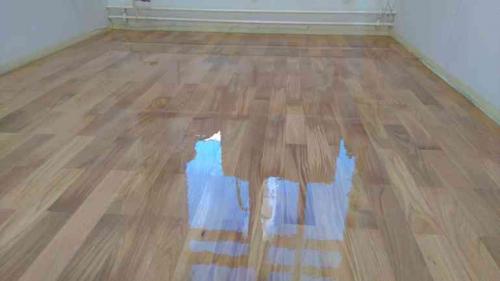 Как ухаживать за ламинатом, чтобы он блестел. Как придать старому ламинату новый блестящий вид?