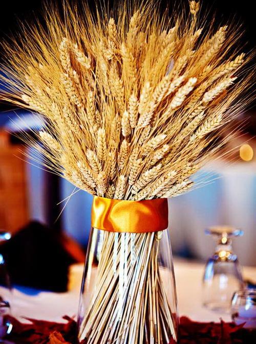 Украшаем комнату к осени. 7 красивых способов украсить дом осенними дарами природы