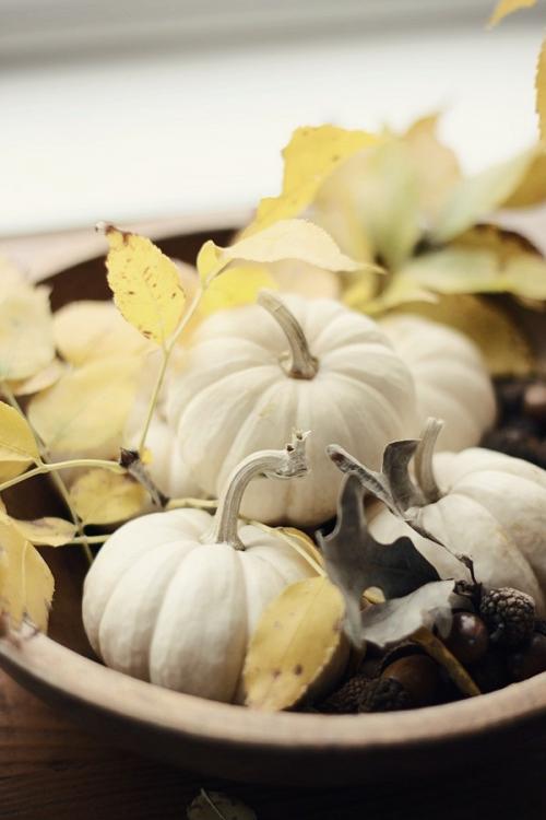 Украшаем комнату к осени. 7 красивых способов украсить дом осенними дарами природы