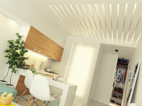 29 кв м квартира. Малогабаритная квартира – фото проекта в 29 квадратных метров