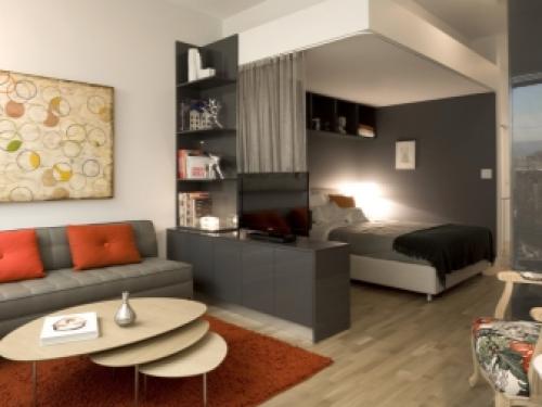 Гостиная и спальня совмещенная. Как выглядит совмещенная спальня с гостиной? 10