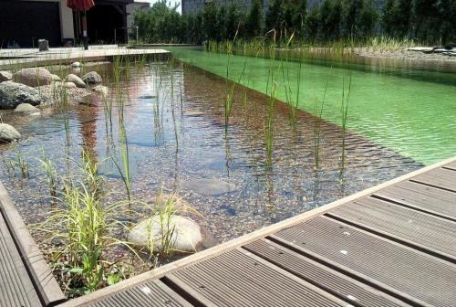 Строительство дамбы для пруда. Виды и функции дамбы 01 Строительство дамбы для пруда. Виды и функции дамбы 01