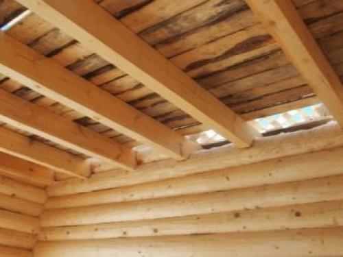 Для дома потолок. Какой потолок выбрать 04