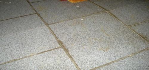 На что класть плитку в деревянном доме. Сложности при укладке плитки