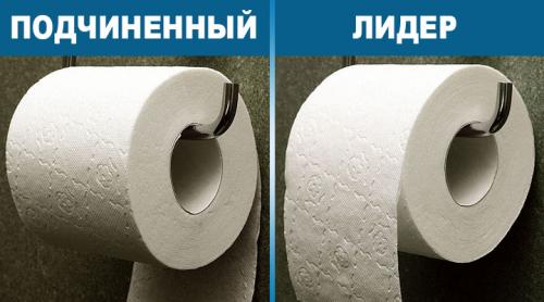 Как правильно вешать туалетную бумагу на держатель. Как правильно вешать туалетную бумагу