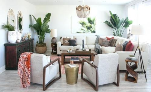 Идеи для комнатных цветов. Роль комнатных растений в интерьере