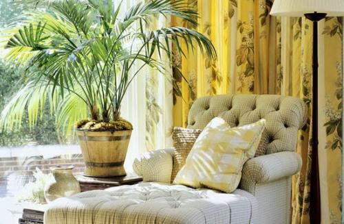 Цветы комнатные в интерьере. Растения в интерьере кухни 07 Цветы комнатные в интерьере. Растения в интерьере кухни 07