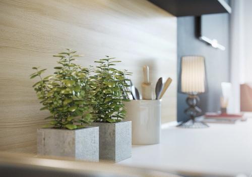 Идеи для комнатных цветов. Роль комнатных растений в интерьере