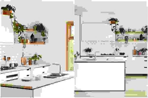 Цветы комнатные в интерьере. Растения в интерьере кухни 01 Цветы комнатные в интерьере. Растения в интерьере кухни 01