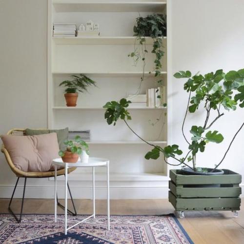 Как сделать однокомнатную квартиру уютной. Как сделать съемную квартиру уютной: 5 советов