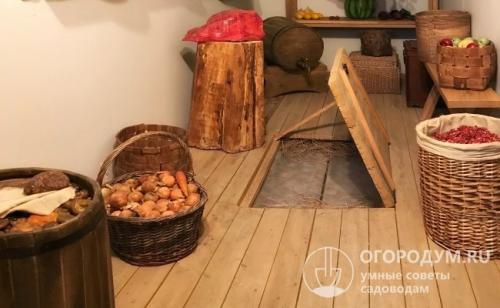 Как сохранить тюльпаны в горшке. Летне-осеннее хранение