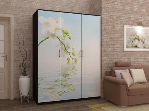 Встроенный шкаф с распашными зеркальными дверями. Материалы корпуса и фасада