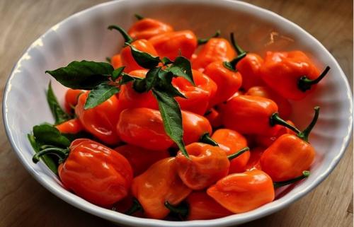 Если переперчила, что делать. Что делать, если переперчили первое блюдо 02 Если переперчила, что делать. Что делать, если переперчили первое блюдо 02