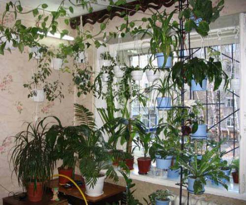 Окна потеют в квартире. Почему потеют пластиковые окна в квартире?