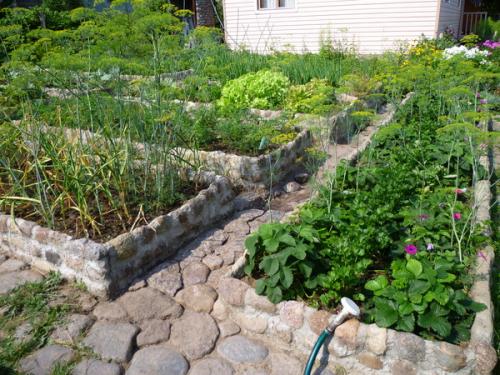 Ограждение грядок своими руками. Из серии — сделай сам лучше покупного