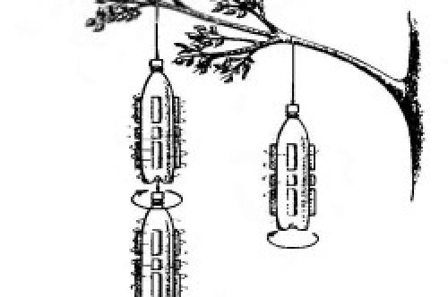 Божья Коровка своими руками из пластиковых бутылок. Божьи коровки из пластиковых бутылок своими руками пошагово с фото для начинающих 39 Божья Коровка своими руками из пластиковых бутылок. Божьи коровки из пластиковых бутылок своими руками пошагово с фото для начинающих 39