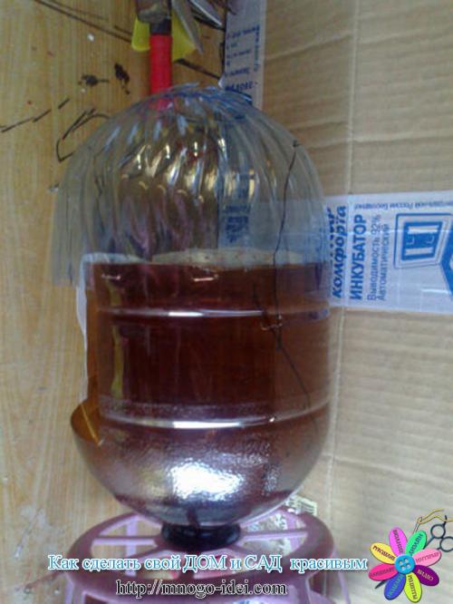 Попугай из пластиковых ложек. 