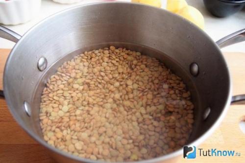 Чечевица, как вкусно приготовить. Как вкусно и правильно приготовить чечевицу 08 Чечевица, как вкусно приготовить. Как вкусно и правильно приготовить чечевицу 08