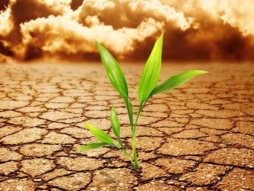 Перестановка в комнате идеи. Спальня 12