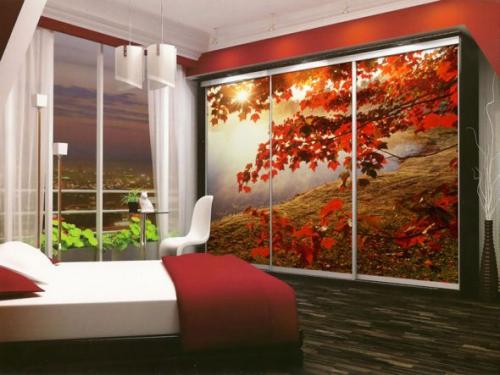 Какой фасад шкафа купе лучше. Преимущества и недостатки