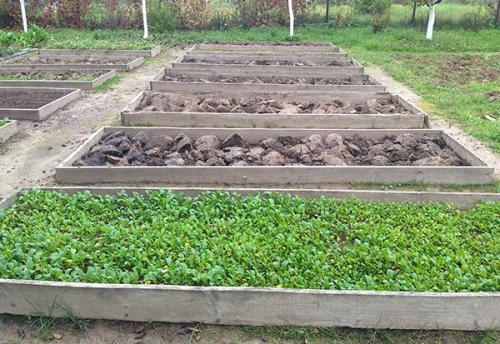 Ограждение грядок своими руками. Из серии — сделай сам лучше покупного 02 Ограждение грядок своими руками. Из серии — сделай сам лучше покупного 02