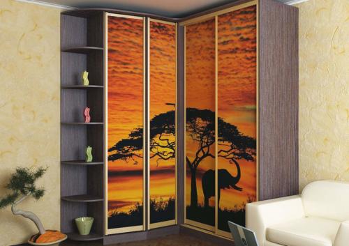 Встроенный шкаф купе с распашными дверями. Как разместить встроенный шкаф с распашными дверями в нише