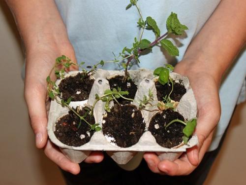 Что можно сделать из коробки из под яиц. Оригинальные поделки, которые можно смастерить из обычных картонок для яиц 22 Что можно сделать из коробки из под яиц. Оригинальные поделки, которые можно смастерить из обычных картонок для яиц 22