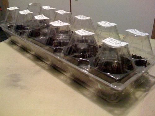 Ячейки для яиц применение. Полезное применение бумажных лотков для яиц на даче и в быту.