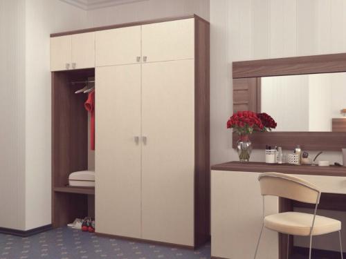 Встроенный шкаф купе с распашными дверями. Как разместить встроенный шкаф с распашными дверями в нише