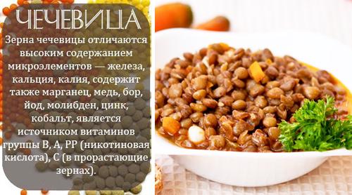 Как выглядит вареная чечевица. Чечевица варёная