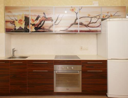 Кухни пластик в алюминиевом профиле. Кухни пластик в алюминиевой рамке 10 Кухни пластик в алюминиевом профиле. Кухни пластик в алюминиевой рамке 10