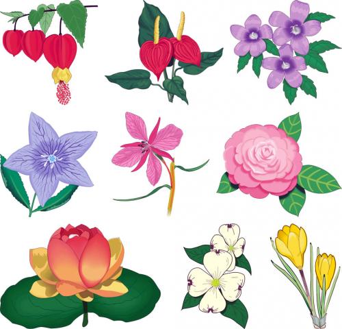 Цветы на стене нарисованные. Основные виды трафаретов 13