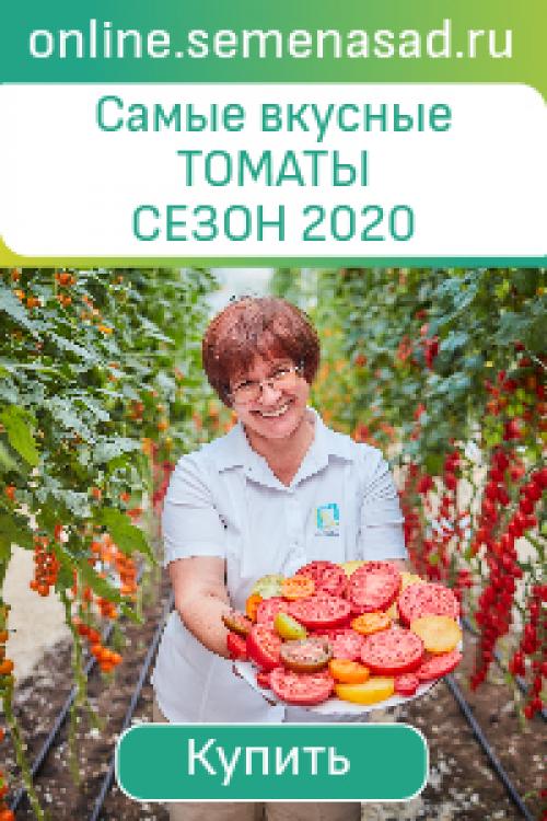 Плетеная мебель из пластиковых бутылок. Дачная мебель из пластиковых бутылок: антикризисный дизайн