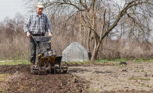 Привести в порядок участок. Как привести в порядок запущенный участок, инструкция и советы опытных дачников