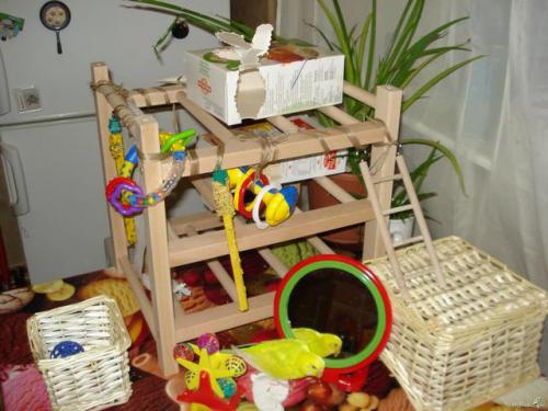 Поделка попугай своими руками. Игрушки для попугаев своими руками 10 Поделка попугай своими руками. Игрушки для попугаев своими руками 10