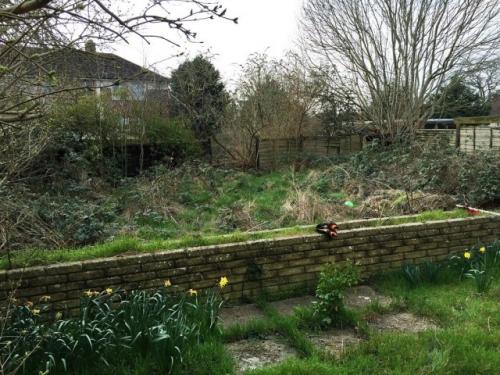 Обработка заброшенного участка. Одна стратегия для любой ситуации