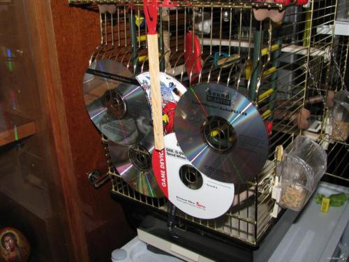 Поделка попугай своими руками. Игрушки для попугаев своими руками 08 Поделка попугай своими руками. Игрушки для попугаев своими руками 08